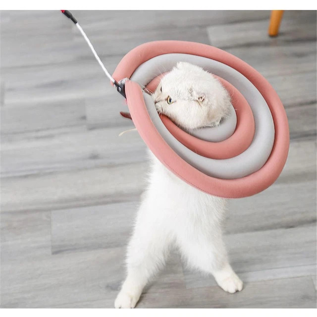 mignon Cou de chien Couverture de beauté de nettoyage pour animaux de compagnie