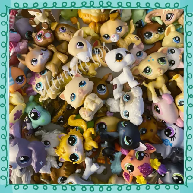 Littlest Pet Shop Lot • 10 Random LPS (w/ 1 Dog OR  1 Cat)  + 5 Accessories