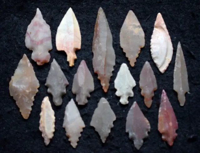 16 Mesolithic  Sahara Neolithic  projectile points/tools