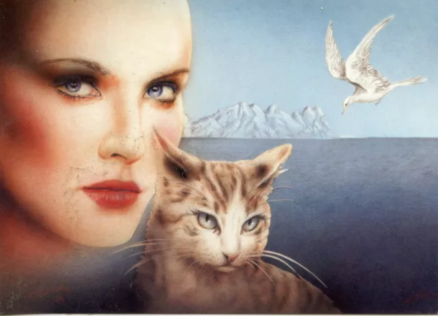 Cpsm / Fancy Postcard Illustrator K. Holitzka // Animal Dreams Cats / Cat