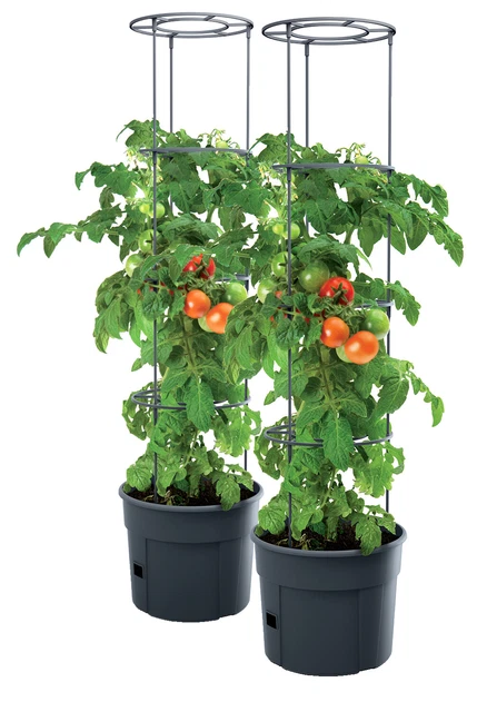 Pflanzkubel Fur Tomaten