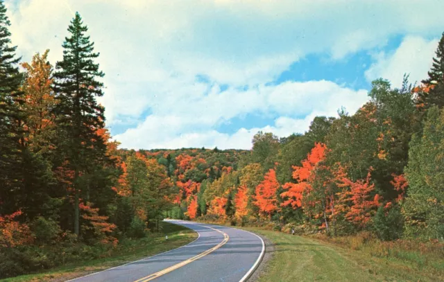 Beautiful Bend in the Highway --POSTCARD