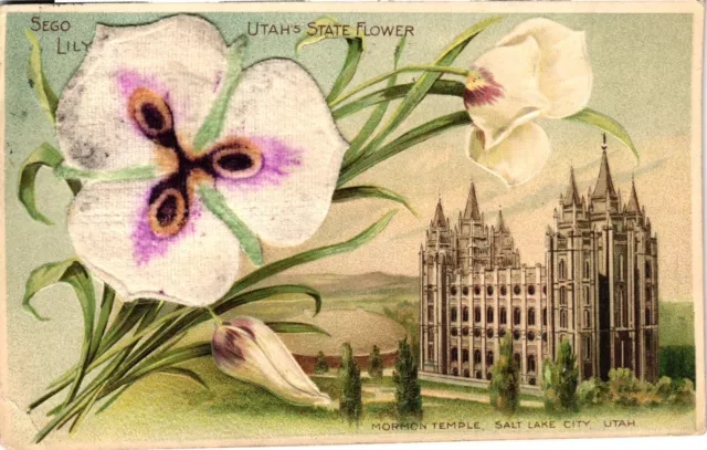 SEGO LILY UTAH State Flower in Fabric Embossed UT Divided Postcard ...