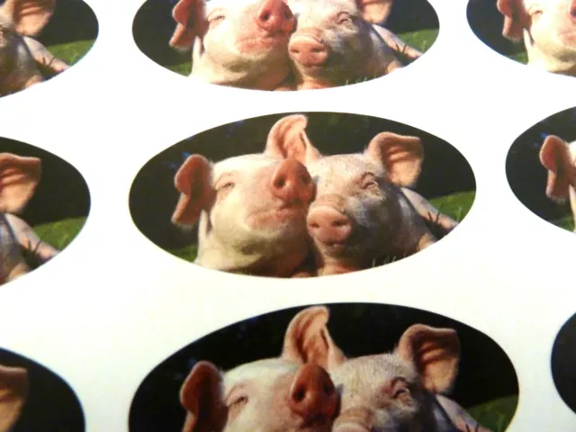 Schweine Ovale Siegel Etiketten, Sticker Für Geschenk Wrap, Umschlag, Beutel /