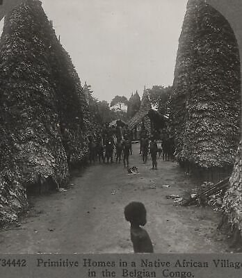Primitive Homes Native African Village Belgian Congo primary Stereoview c1920
