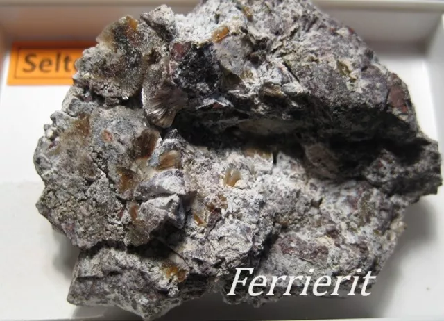sehr seltene Ferrierit-Kristalle auf einer 3 x 5 cm großen Stufe aus Sardinien