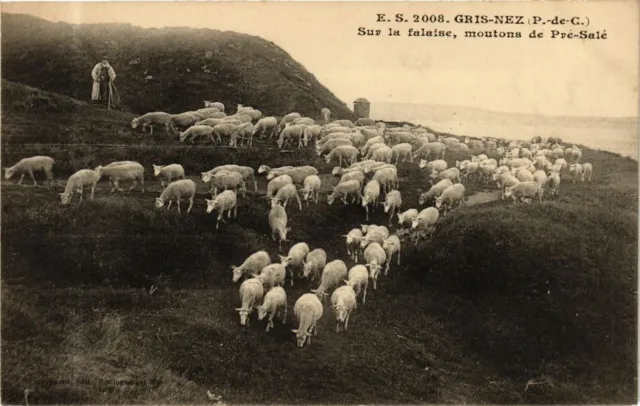 CPA GRIS-NEZ - Sur la falaise moutons de Pré-Sale (268455)