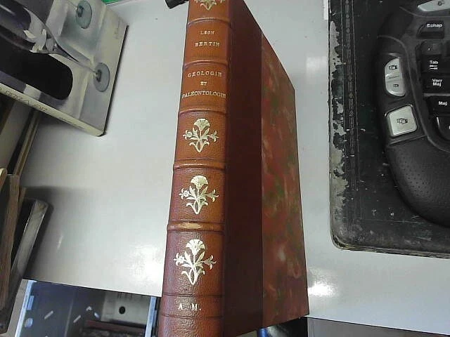 Géologie et paléontologie