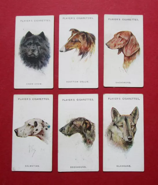 PLAYER 6 VINTAGE 1929 CIGARETTE CARDS  DOGS  by ARTHUR WARDLE  7-8-9-10-11-12
