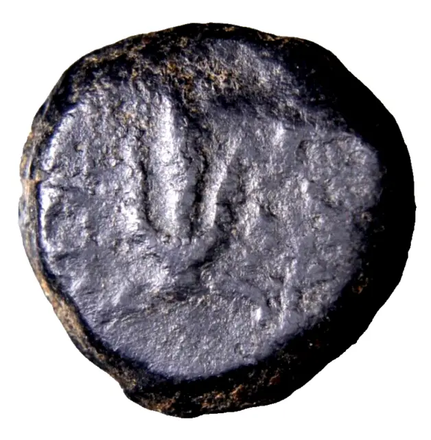 Seleukid Occupation of Judaea Jerusalem Lily Anchor Ancient Greek Coin CERTIFIED