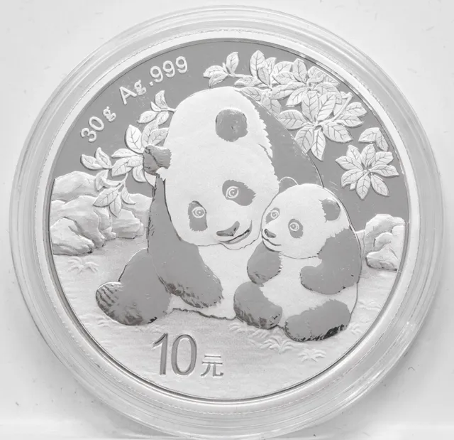 China 10 yuan 2024 - Panda - Silber 30 g*