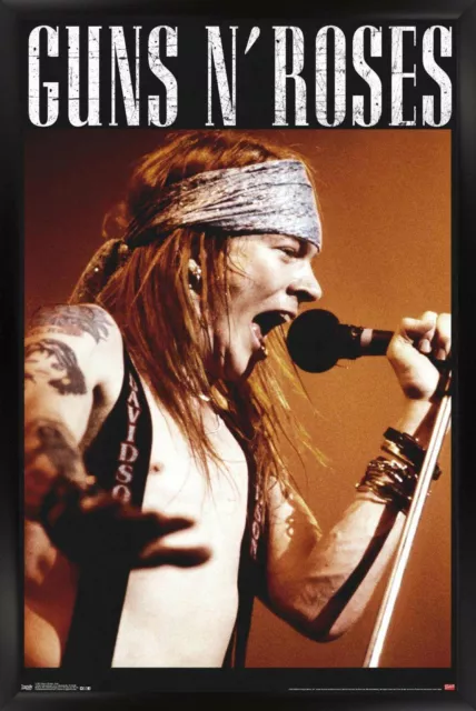 Póster de Guns N' Roses - Axel 14x22