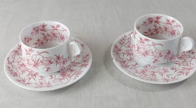 Lot de 2 tasses et 2 sous tasses, décor épines, porcelaine Sarreguemines Minton