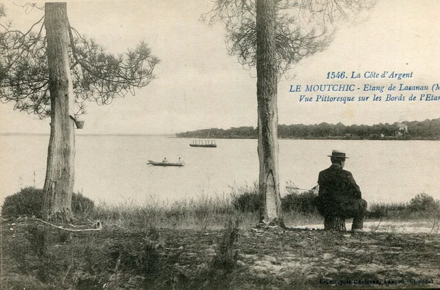 Etang de LACANAU Le Moutchic Médoc Vue pittoresque  sur les bords de l'étang