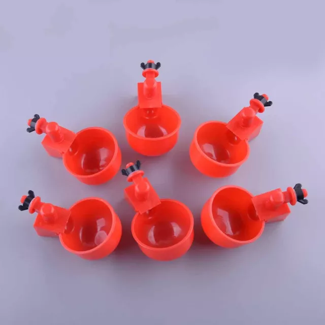 6pcs Poultry Bowl Automatic Plastic Water Drinker Cup for Chicken Drinking