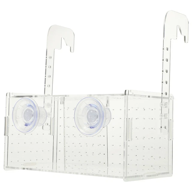 Isolation Fish Tank Box Acrylic Acclimation Hatchery Incubator