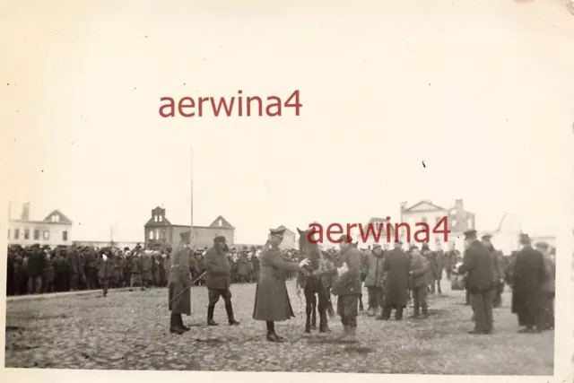 Pferdemusterung auf zerstörten Markt in Wolozyn Belarus Ostfront