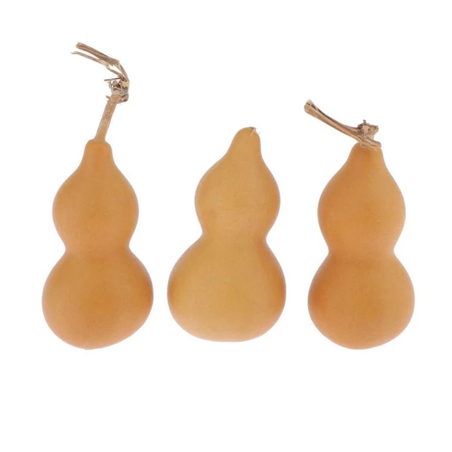 Lot de 3 courges naturelles non peintes pour bricolage, décoration de