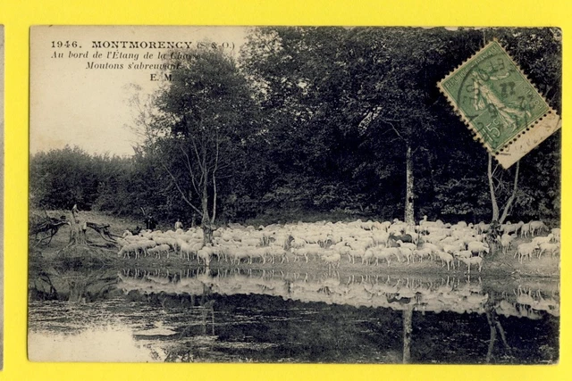 cpa FRANCE 95 - MONTMORENCY Troupeau de MOUTONS au bord de l'ETANG de la CHASSE