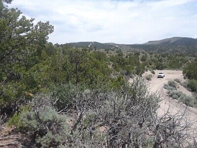Nice Area! 5.24 Acre, Trees, Mtns/Valley Views, Sangre De Cristo Ranch, Colorado