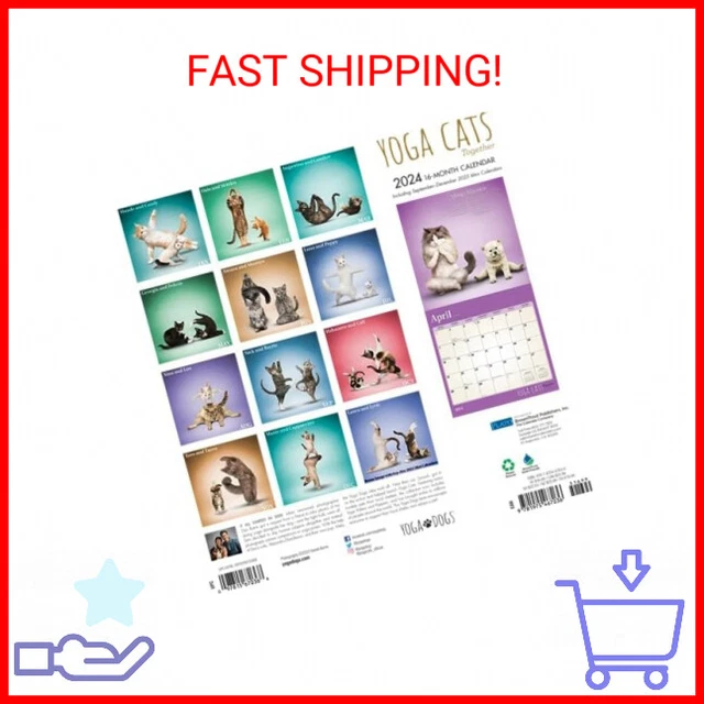 YOGA CATS TOGETHER Calendar 2024 Deluxe 2024 Yoga Cats Wall Calendar