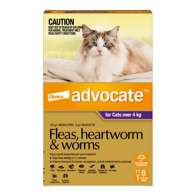 Advocate For Cats Large Over 4kg 6 pack