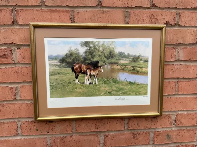 David Shepherd Limited Edition signed Framed print HIGH NOON 305/850 Horse Foal