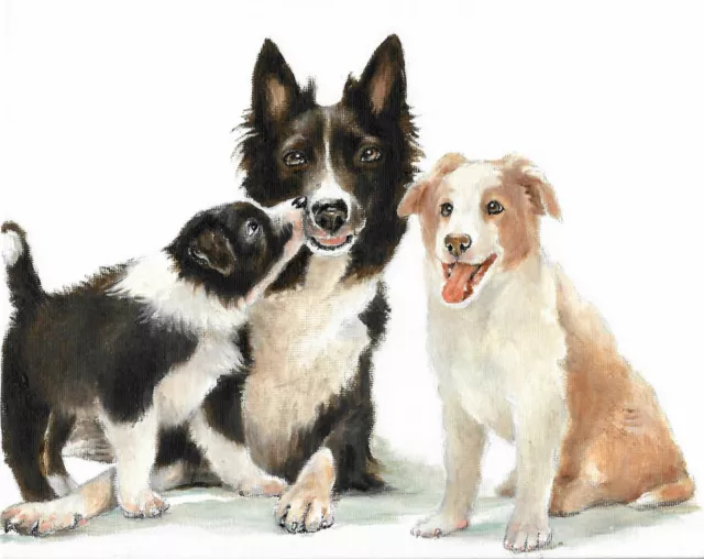 ❈ Original Oil Portrait Painting BORDER COLLIE Puppy Dog Artist Signed Artwork