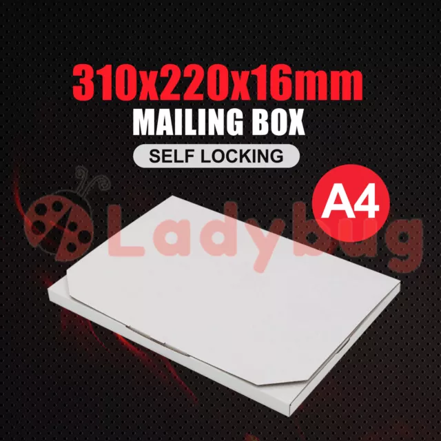 Mailing Box SuperFlat A4 310 x 220 x 16mm 04 Rigid Envelope Mailer