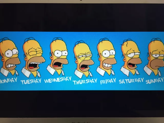 Homer Simpson Days Of Work 12X36 Poster The Simpsons Animated Tv Series Funny!!!