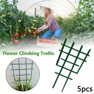 Stable Support de Plante de Tomate MHOYI Plantes de Support 1 PCS Treillis Fleur Soutien Escalade Vegtables & Fleurs et Fruits Grow Cage 