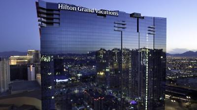 3,520 HGVC Points Elara Timeshare Las Vegas Hilton Grand Vacations Club 2