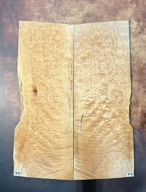 Muschelahorn Droptop 4A |  Quilted Maple Droptop 4A | Tonholz | Tonewood | #23