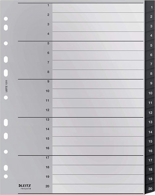 Bleu & Blanc Leitz Leitz Intercalaires A4 Touches 1-31 Onglets Renforcés en Plast... 