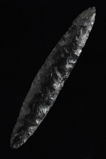 Pre Columbian Colima Bi-Pointed Knife Blade Western Mexico Artifact Stermer COA