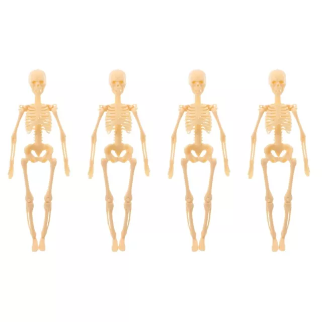 4 Pack Skelettmodell Modellbau Menschlicher Körper Eingesackt