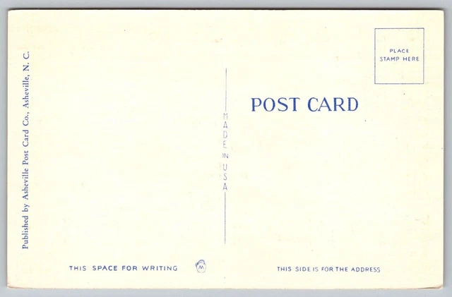Airplane View Main Business Section Lenoir NC North Carolina WB Postcard UNP VTG 2