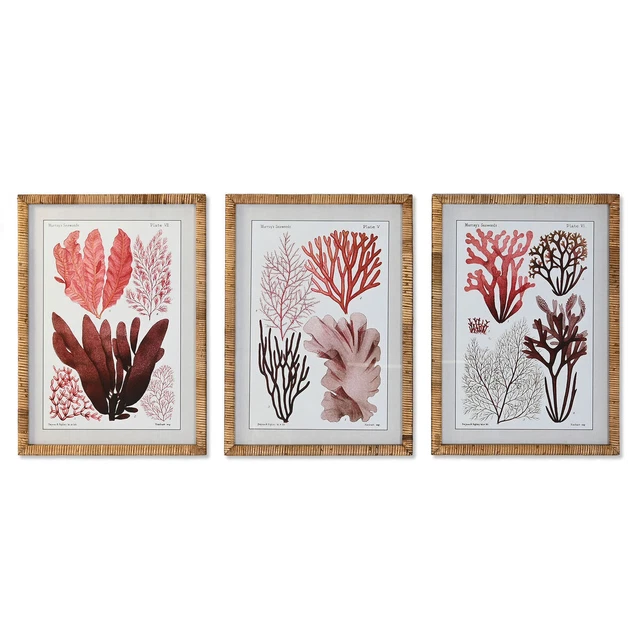 Cadre DKD Home Decor méditerranéen (50 x 2.5 x 70 cm) (50 x 2,5 x 70 cm) (3 Unit