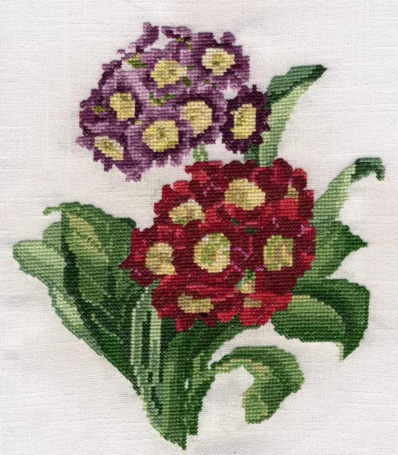 Cowslip or Primula Auricula counted cross stitch kit or chart 14s aida