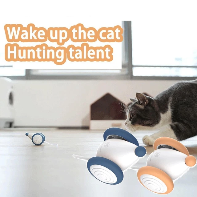 Juguetes automáticos de ratón USB recargables juguetes interactivos para gato de interior
