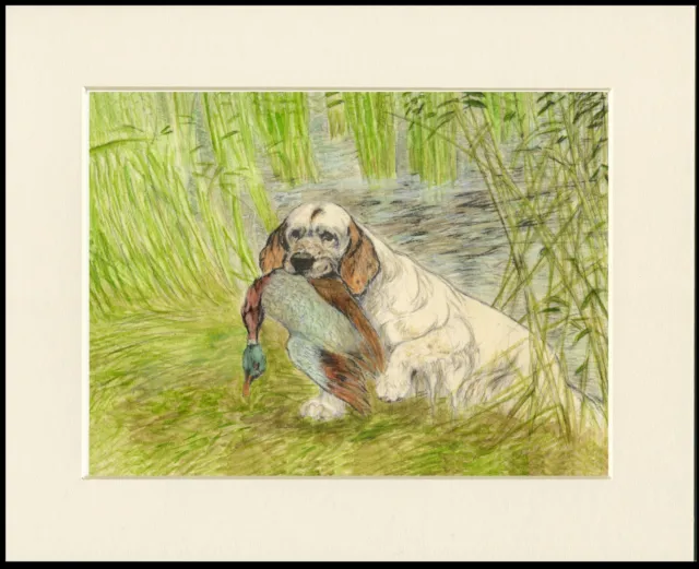Clumber Spaniel Dog And Duck Vintage Style Art Print Mounted Ready To Frame