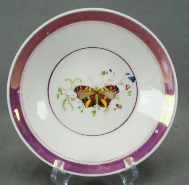 British Hand Colored Transfer Butterfly & Pink Luster 7 1/2 Inch Shallow Bowl