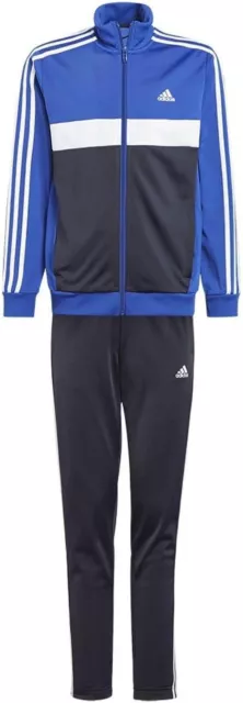 Adidas Tuta da ginnastica Bambino Ragazzo Completo in acetato blu tg 13/14 anni