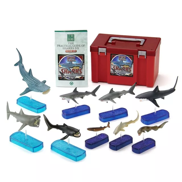 COLORATA Real Figure Sharks of the World SHARKS DX BOX w/ Tracking NEW