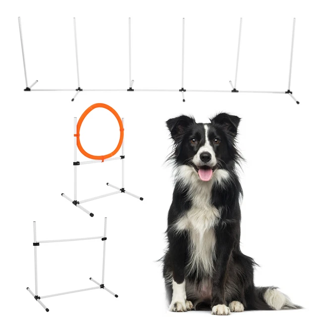 Attrezzatura Addestramento Agilità Animale Animale Cane Barra Regolabile Salto Ostacolo Cerchio Palo Frutta Gfl