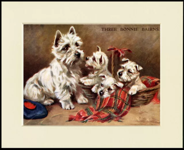 Westie West Highland White Terrier Three Bonnie Bairns Dog Print Ready To Frame