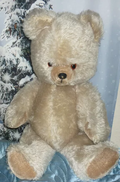 DDR Sehr schöner 55cm großer Teddy Bär  mit Glas Augen, fest gestopft
