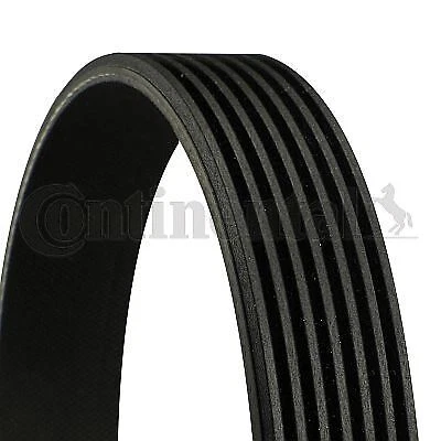 Cinghia trapezoidale cinghia di trasmissione cinghia trapezoidale Continental Ctam per BMW 93-96 7Pk1605