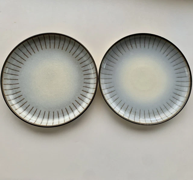 Set of 2 Denby Studio Stoneware Dinner Plates Made in England 10 1/8"