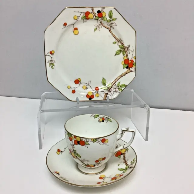 Rare Vintage Royal Paragon Fine Bone China 'Orchard' Tea Trio  WA2